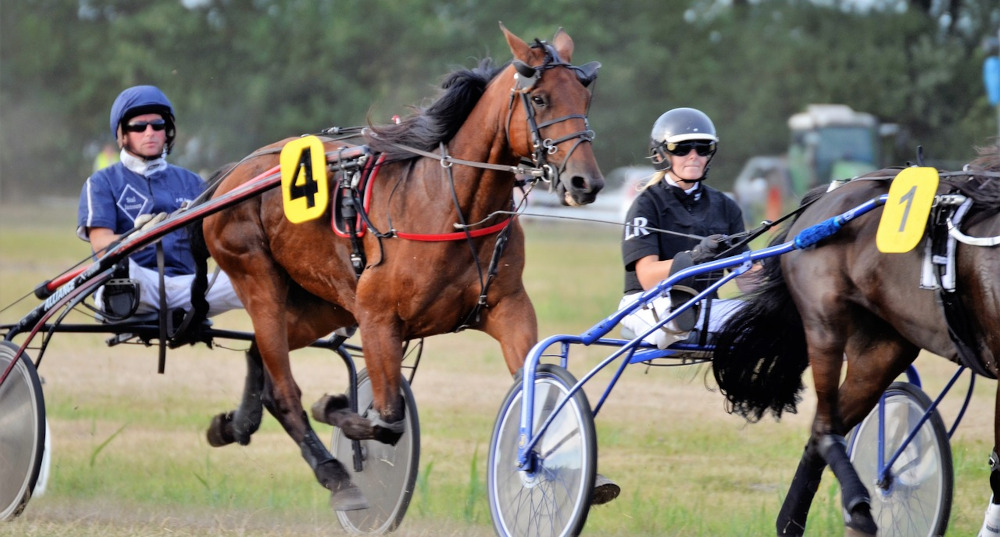 horses and jockeys are seen competing in harness racing at a horse racetrack in Michigan. Revenue from various forms of betting in Michigan skyrockets, but only one horse racetrack is still open: Northville Downs.